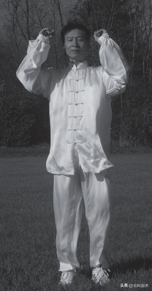 太极大道,太极拳理论太极养生小功法