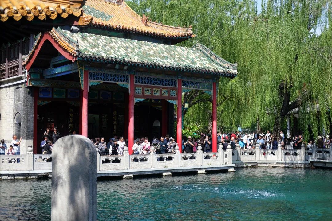 济南名士多网络科技有限公司,济南名士多茶业