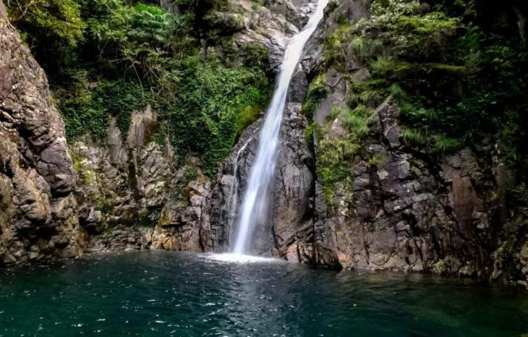 上海避暑,上海景点避暑攻略自驾游