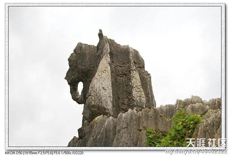 跟随老韩走遍中国,老韩带你逛云南