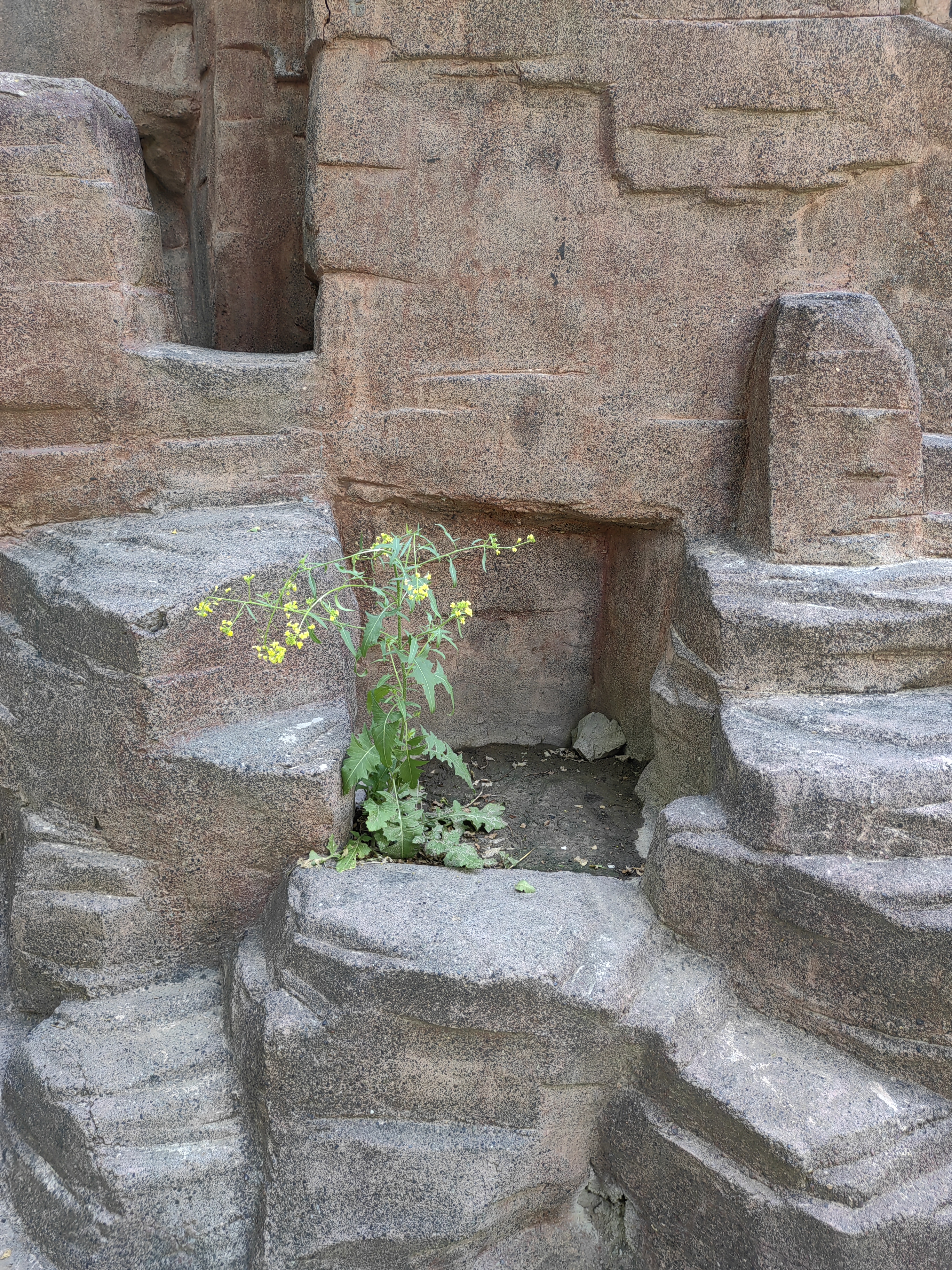 乌鲁木齐水磨沟公园旅游,水磨沟公园清泉禅寺