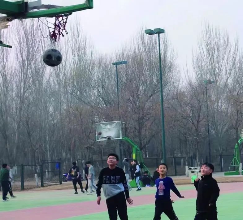 天气回暖大自然的气息,天气热了公园热闹起来了