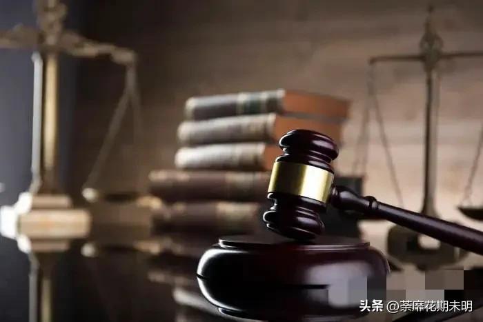 法言法语是什么,法言法语的解释