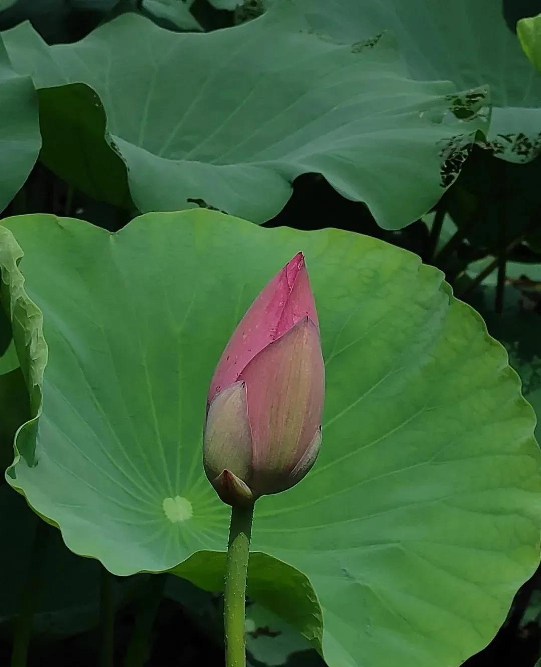 华山论道：寓意很好的八个汉字，代表八种人生智慧