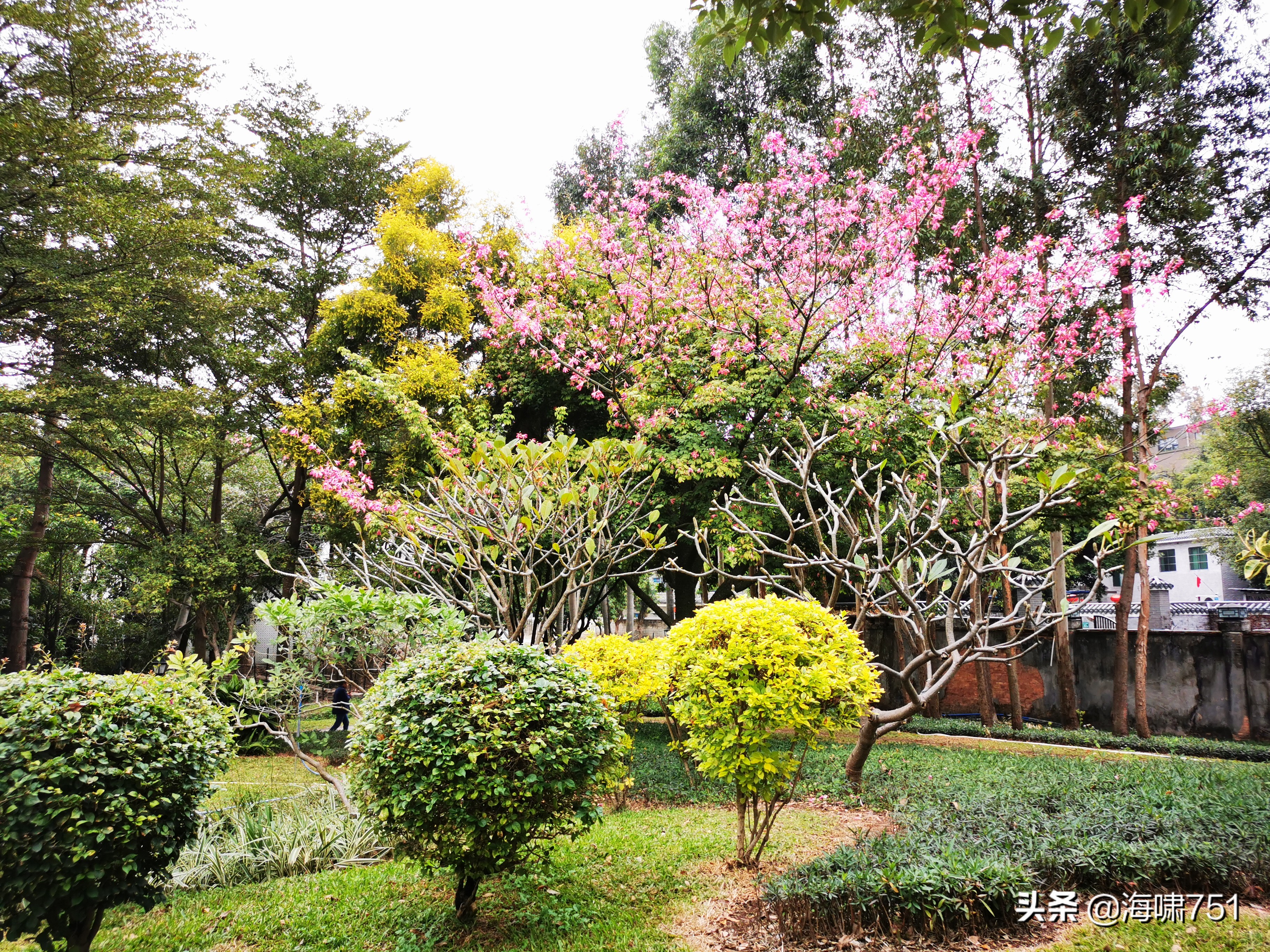 陈田花园全景图,陈田花园照片