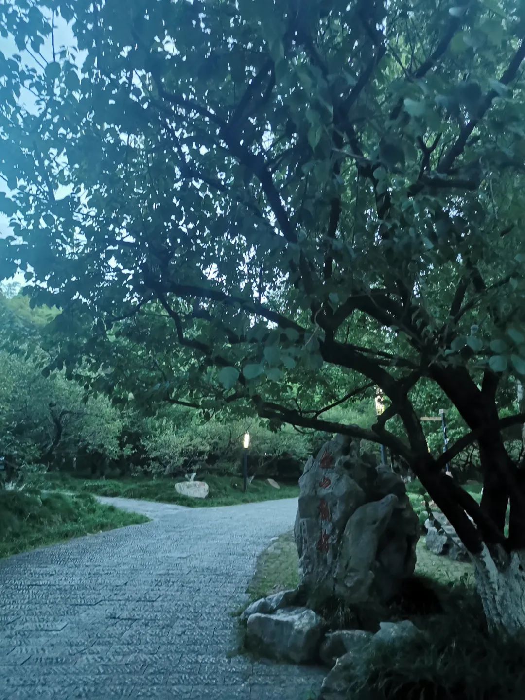 扛轿人——临海故事