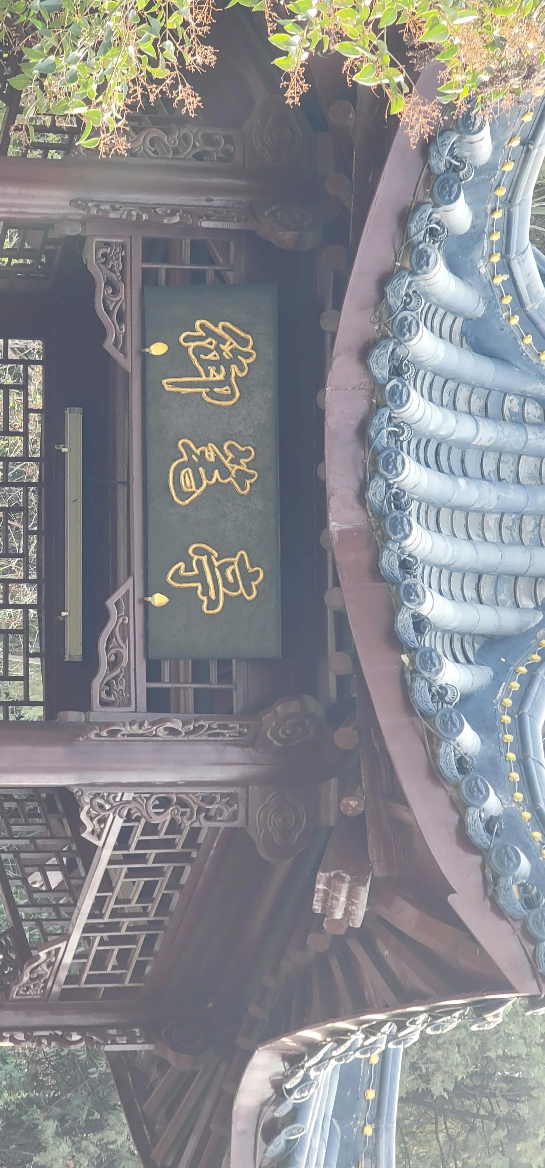 开着沪牌回老家怎么样,开着大巴玩转江浙沪