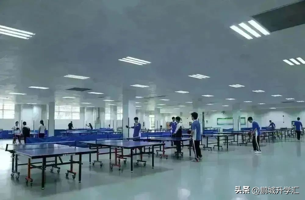 2024年深圳高中校园开放日,深圳市校园开放日