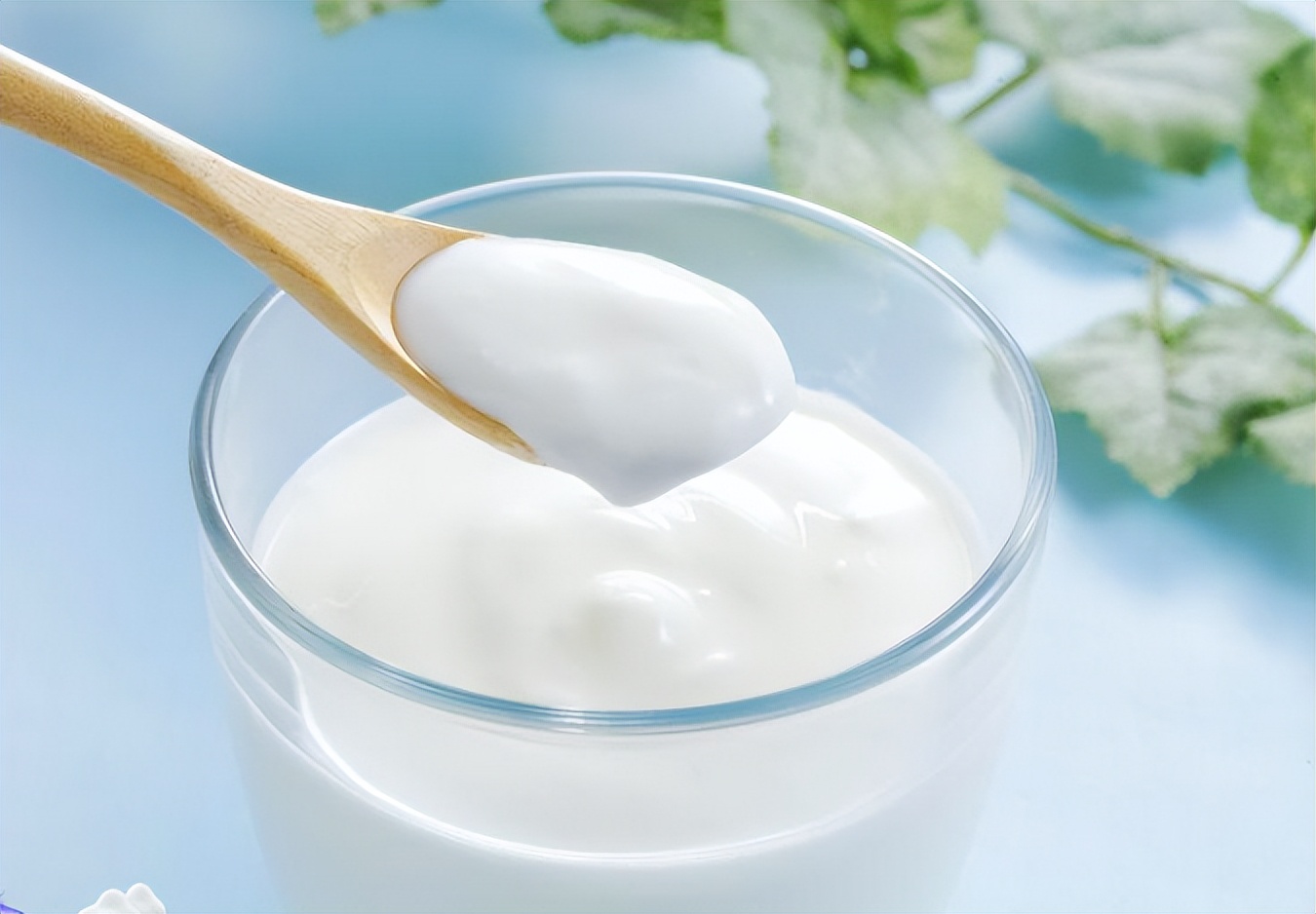 hpv58阳性吃什么食物提高免疫力,易感冒人群吃10种食物增强免疫力