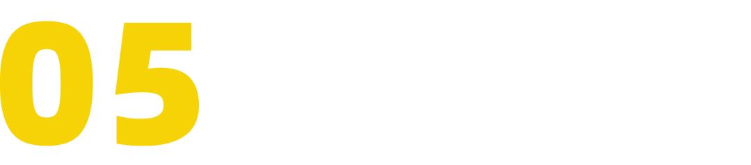 patagonia的总裁,patagonia设计师