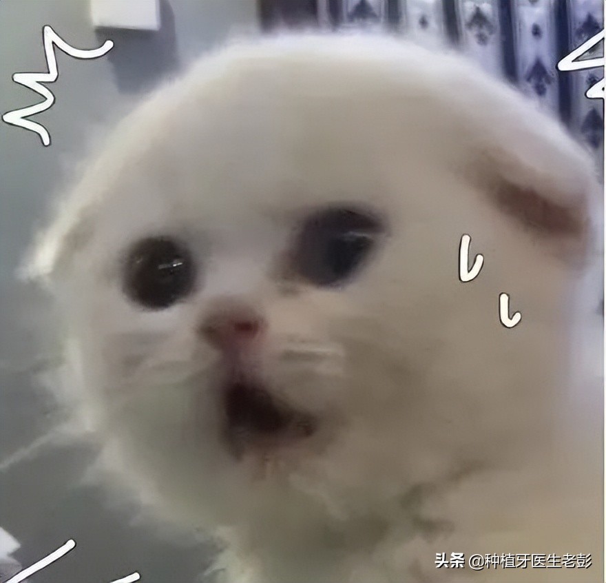 为什么会有蛀牙的解释,为什么会蛀牙是真的有虫吗