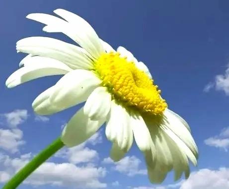 六年级数学复习（2）