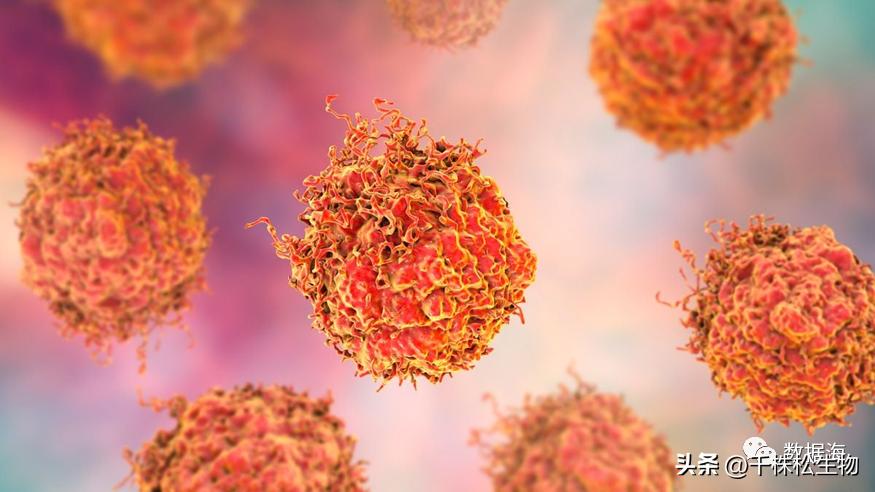 Convergent公司筹集资金用于开发治疗前列腺癌的放射*药性**物