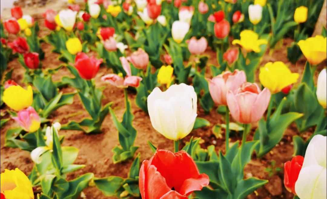 小众公园北京,北京欧式小众公园