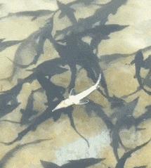 如何评价这个女主持人，主持了一半把*袜丝**脱了？