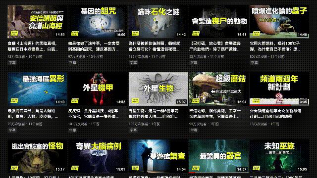 液体猫是真的吗,为什么都说猫咪是液体猫