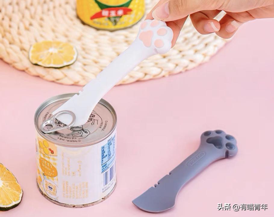 养猫的100个怪癖,养猫变态