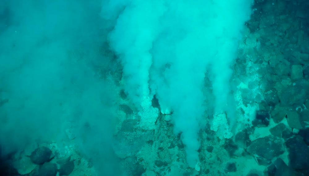 热液盲虾生活在450℃海底热泉旁，数量惊人，能不能用来烫火锅？