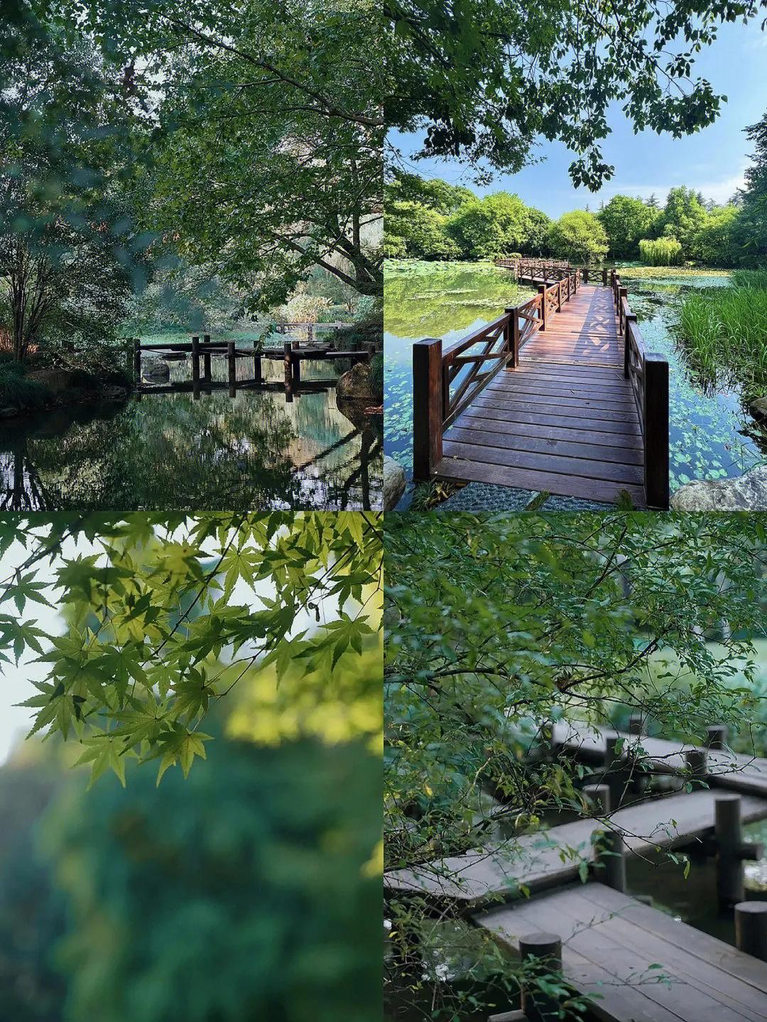 杭州西湖周边名胜景点,私藏杭州8个小众景点