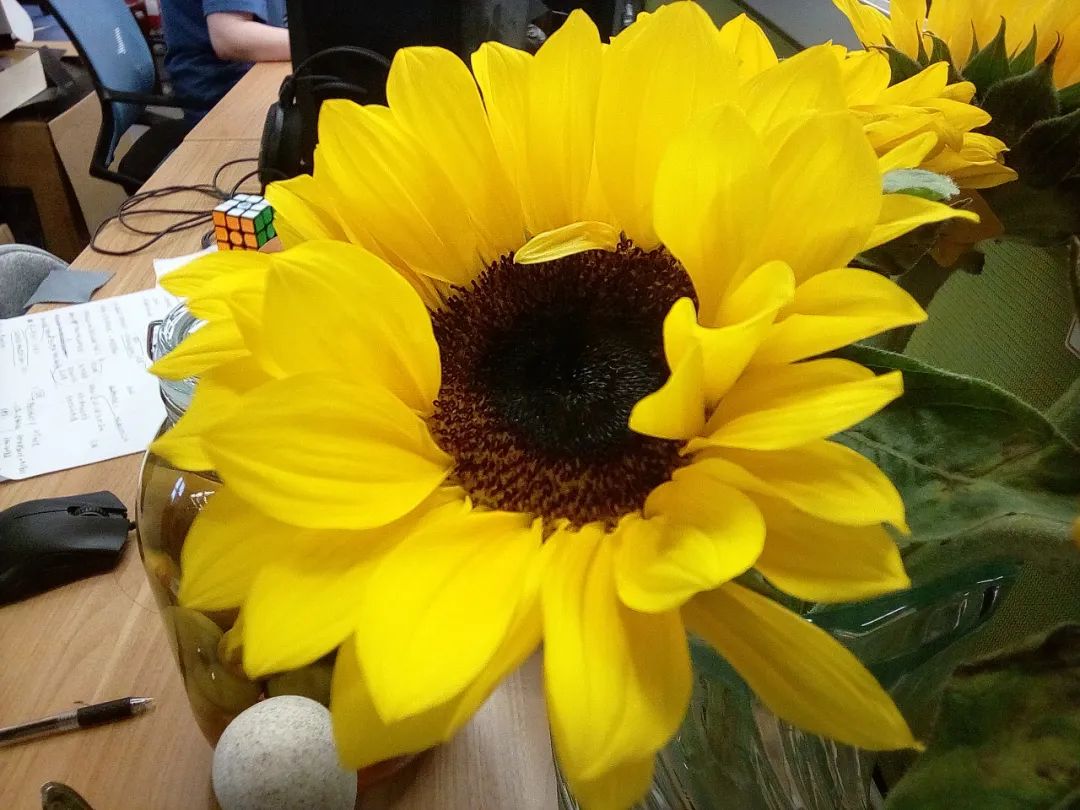 不到2000块钱的手机,不到2千块钱能买到什么样的手机