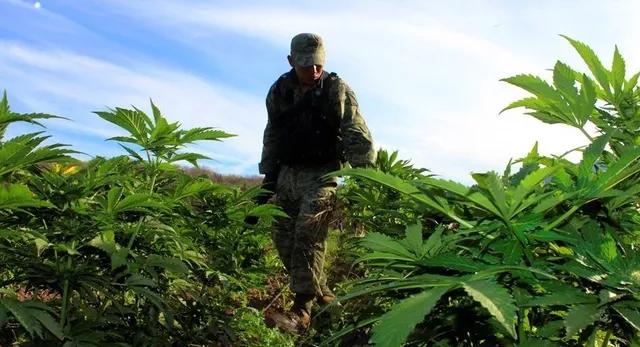 墨西哥离天堂很远但是离美国很近,为什么墨西哥离天堂这么远