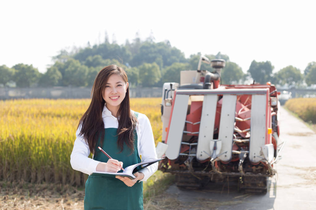 中国哪些股票被低估,被低估的中国500强股票