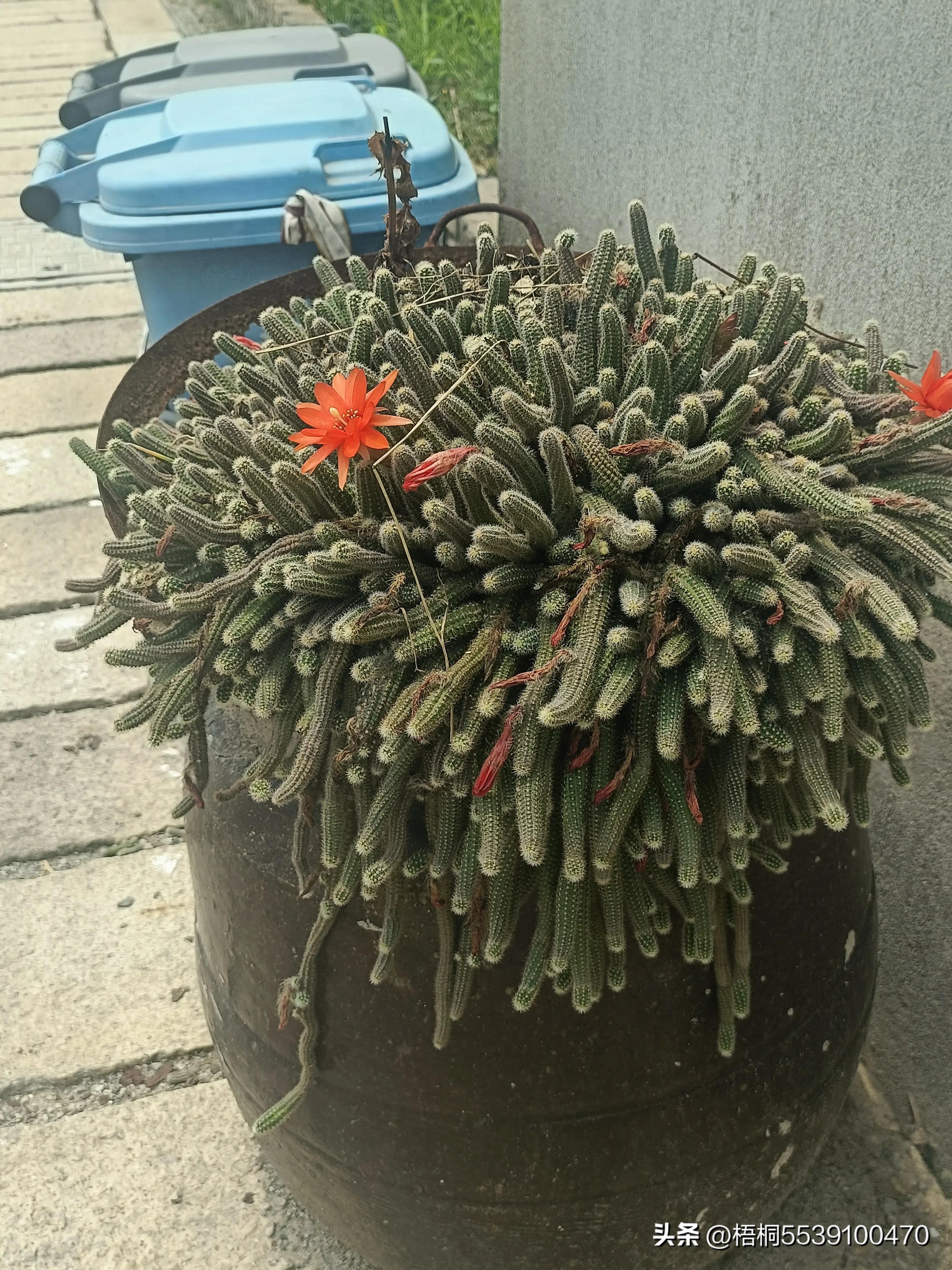 苏州洞庭西山有什么好玩的,苏州太湖东山还是西山好玩