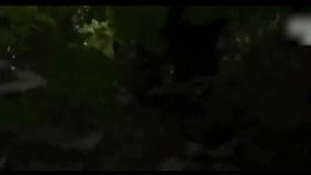 山村十大诡异怪事件,四川大山发现的怪物