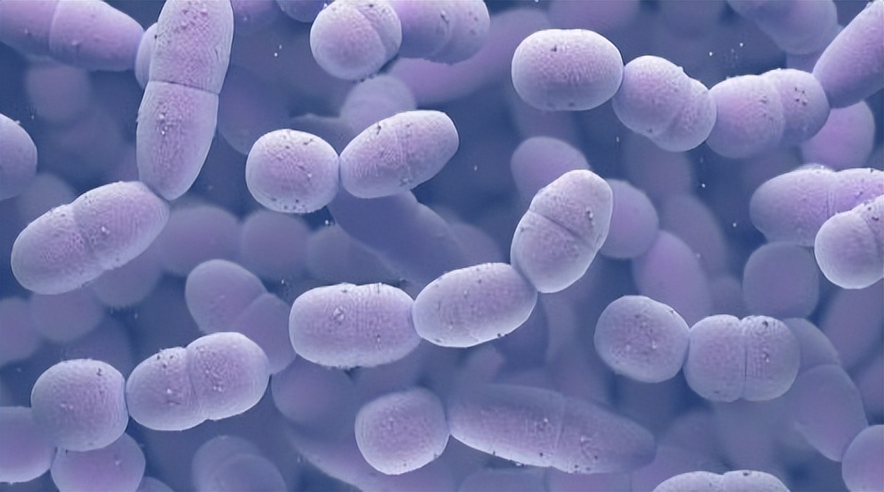 小儿急性肾小球肾炎致病菌,引起急性肾小球肾炎的病原体是