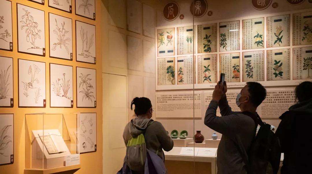 哪里城市过春节最有年味,记忆中的年味儿和过年新模式