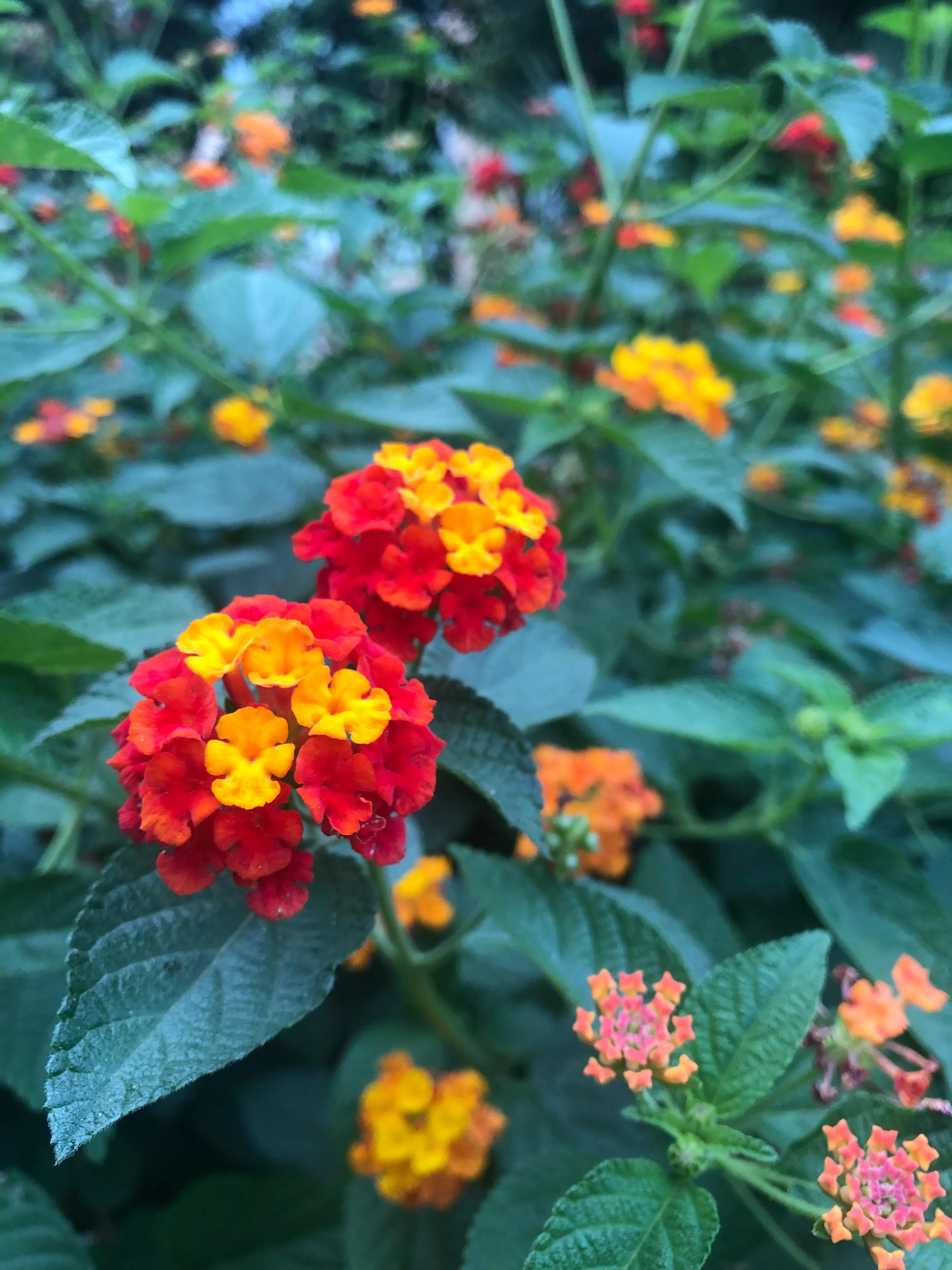 越过山丘经典语录,越过山丘越过海洋