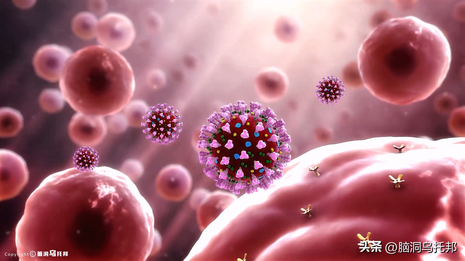 无症状感染是因为体质差吗,为什么有的人感染症状轻