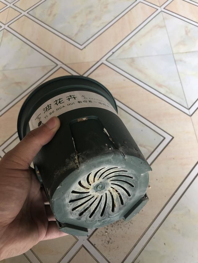 植物移盆需要注意什么,植物上盆注意什么