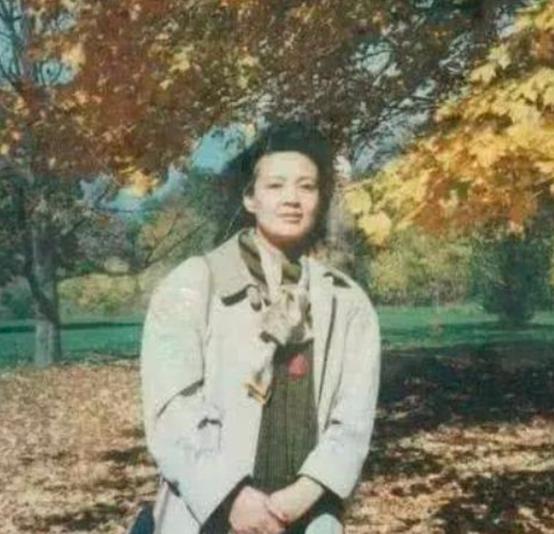 汪小菲身价高还是王思聪身价高,汪小菲妈妈现在身价多少