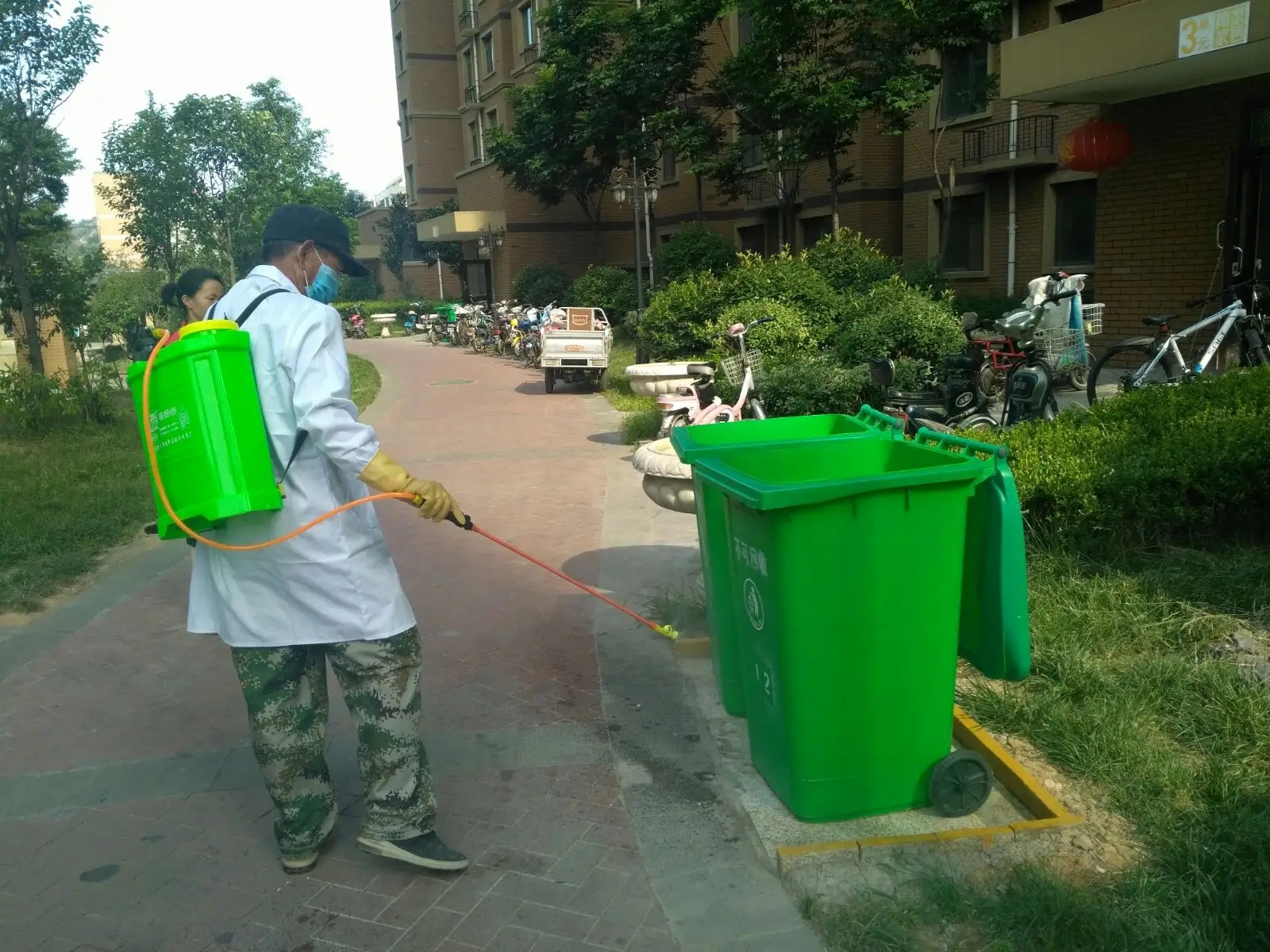 乡愁散文：七十年代的挖蛹灭蝇