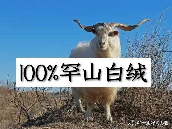 羊绒围巾和羊毛围巾哪个质感好,正宗品牌羊绒围巾好一点的