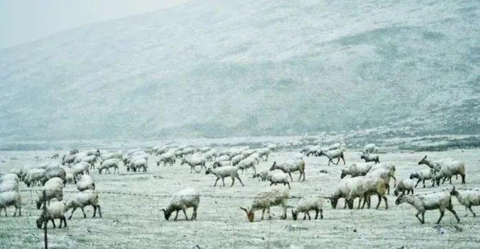 甘南什么意思,甘南县为什么叫甘南县