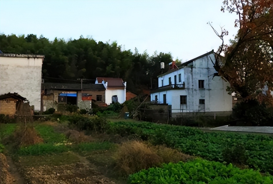 四川丈夫打死妻子的真实事件,女子半夜回家发现丈夫已经被害