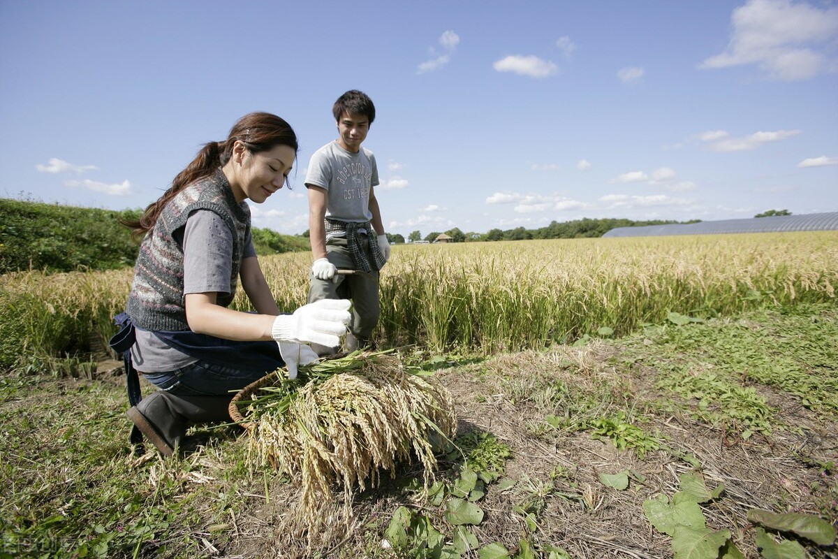 面部毛孔粗大如何改善药方,脸颊毛孔粗大怎么解决医美