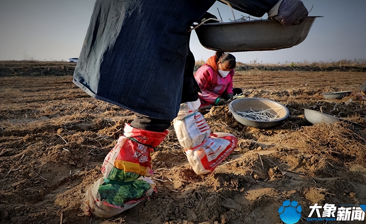 洛阳银条的做法大全,河南洛阳特别美食