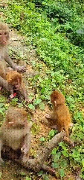 今天碰到个算命先生，不愧是大师，算的真准