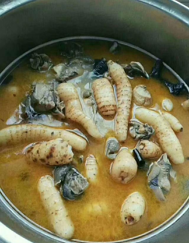 野生天麻图片植物,天麻植物图片大全大图