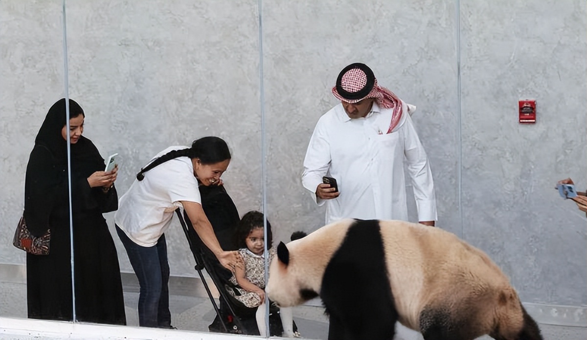 卡塔尔为什么花2000亿办世界杯,卡塔尔为什么花200亿元办世界杯