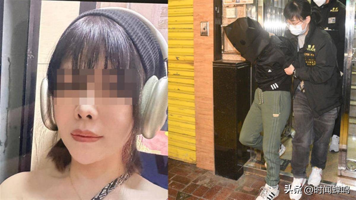 蔡天凤惨遭碎尸案细节,蔡天凤碎尸案惨状