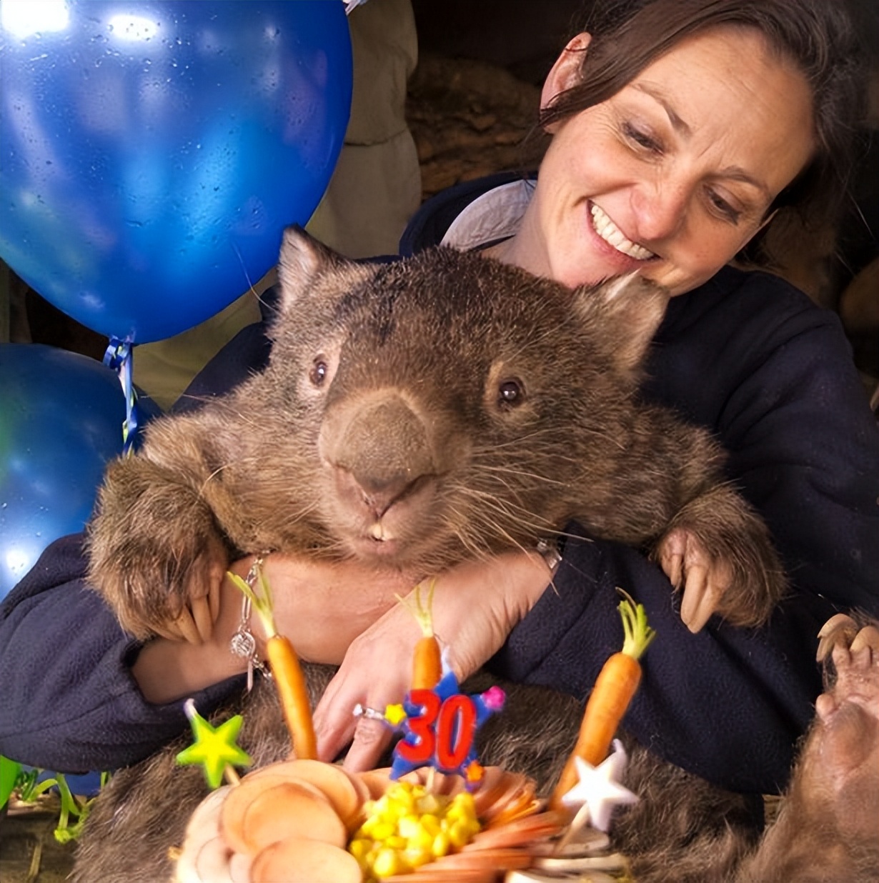 澳洲动物喂宝宝,哪种动物用粪便喂宝宝