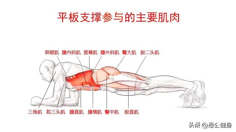 十分钟的平板支撑是个什么水平,平板支撑能坚持1分钟是什么水平