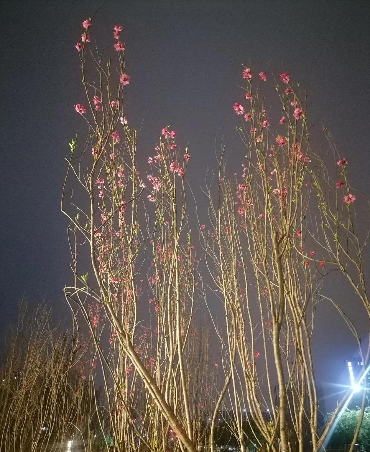 在大理兼职送外卖收入怎样,深圳兼职送外卖收入怎样