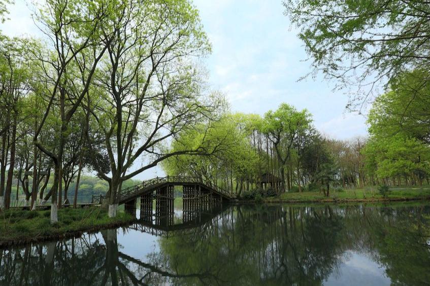 漫步西湖诗句杨万里,杨万里七绝楷书书法临摹