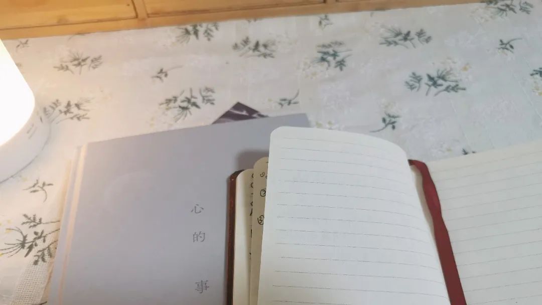 小红书运营新手入门教程课程推荐,小白怎么入行小红书运营