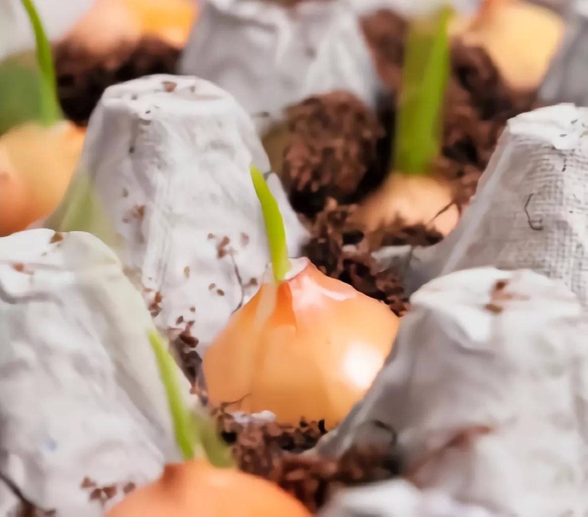 快速晒鞋子的方法,晒鞋子的技巧视频